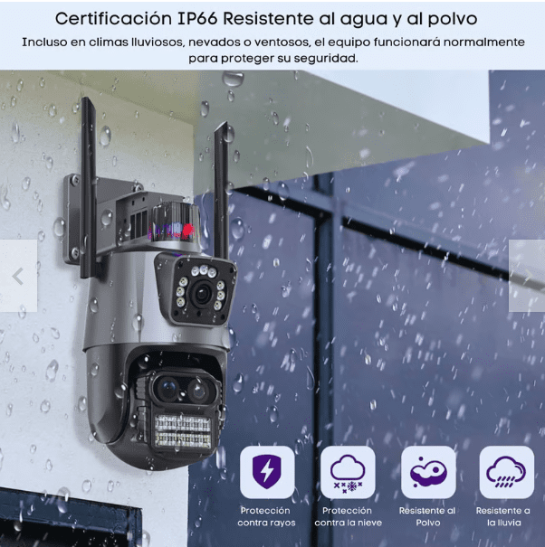 Captura de pantalla 2024-08-26 171236